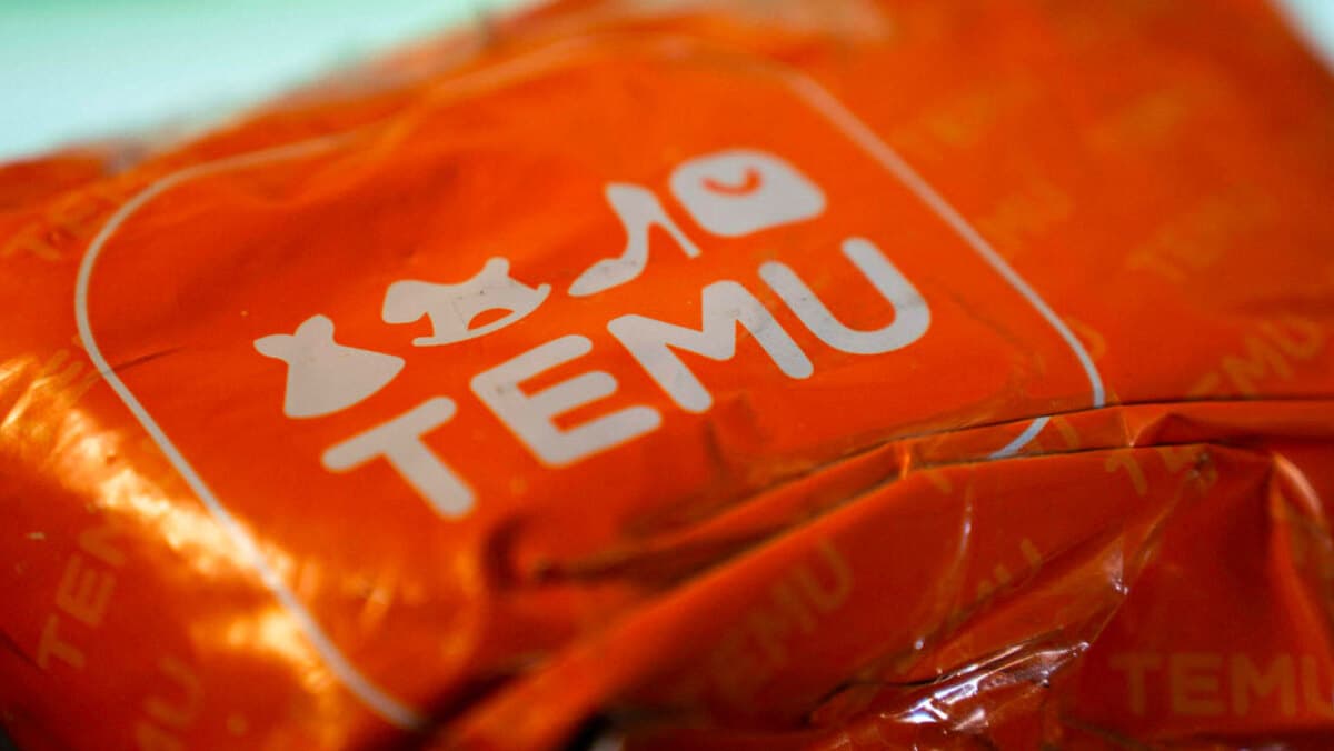 Temu è sicura per i pagamenti online?