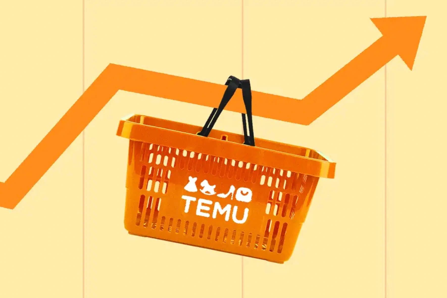 Consigli per lo shopping su Temu: Guida completa per acquistare in modo intelligente