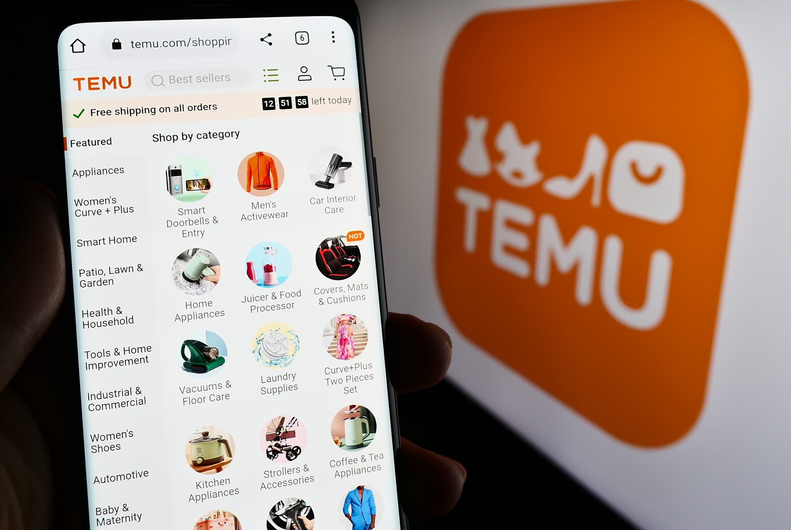 Quali sono le principali opzioni di spedizione internazionale Temu disponibili nell’app